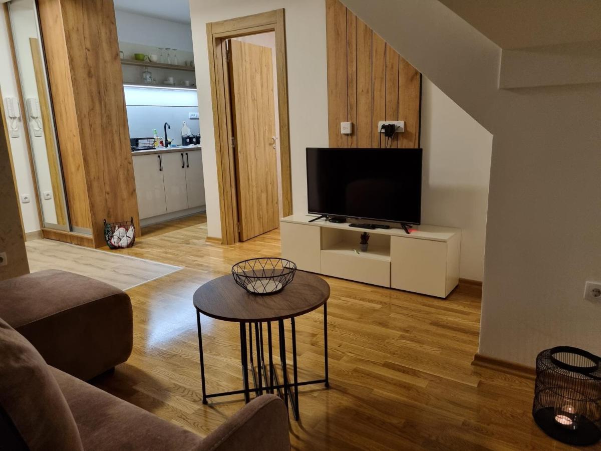 Goga Apartmani ズラティボール エクステリア 写真